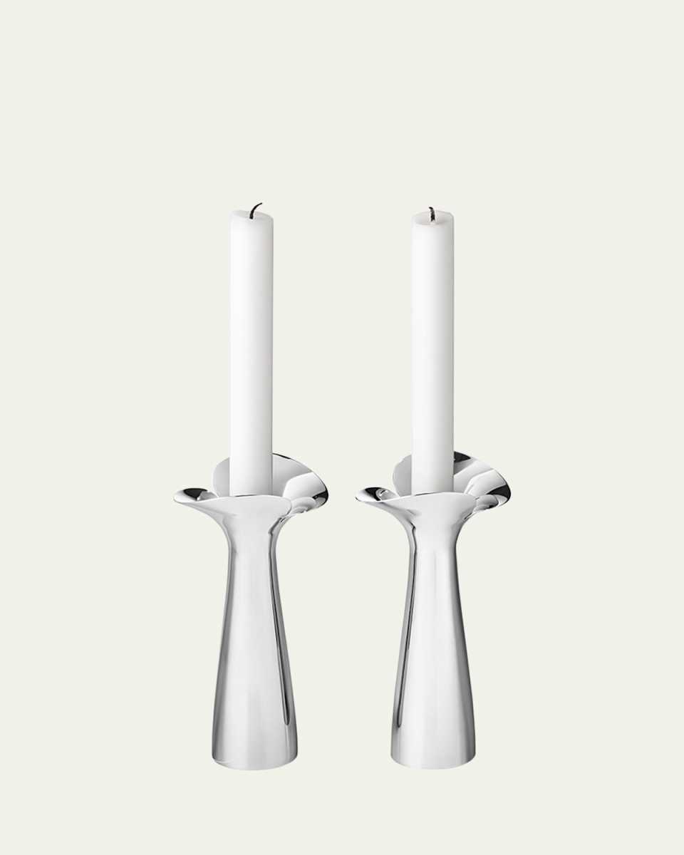 Bloom Botanica Candleholders